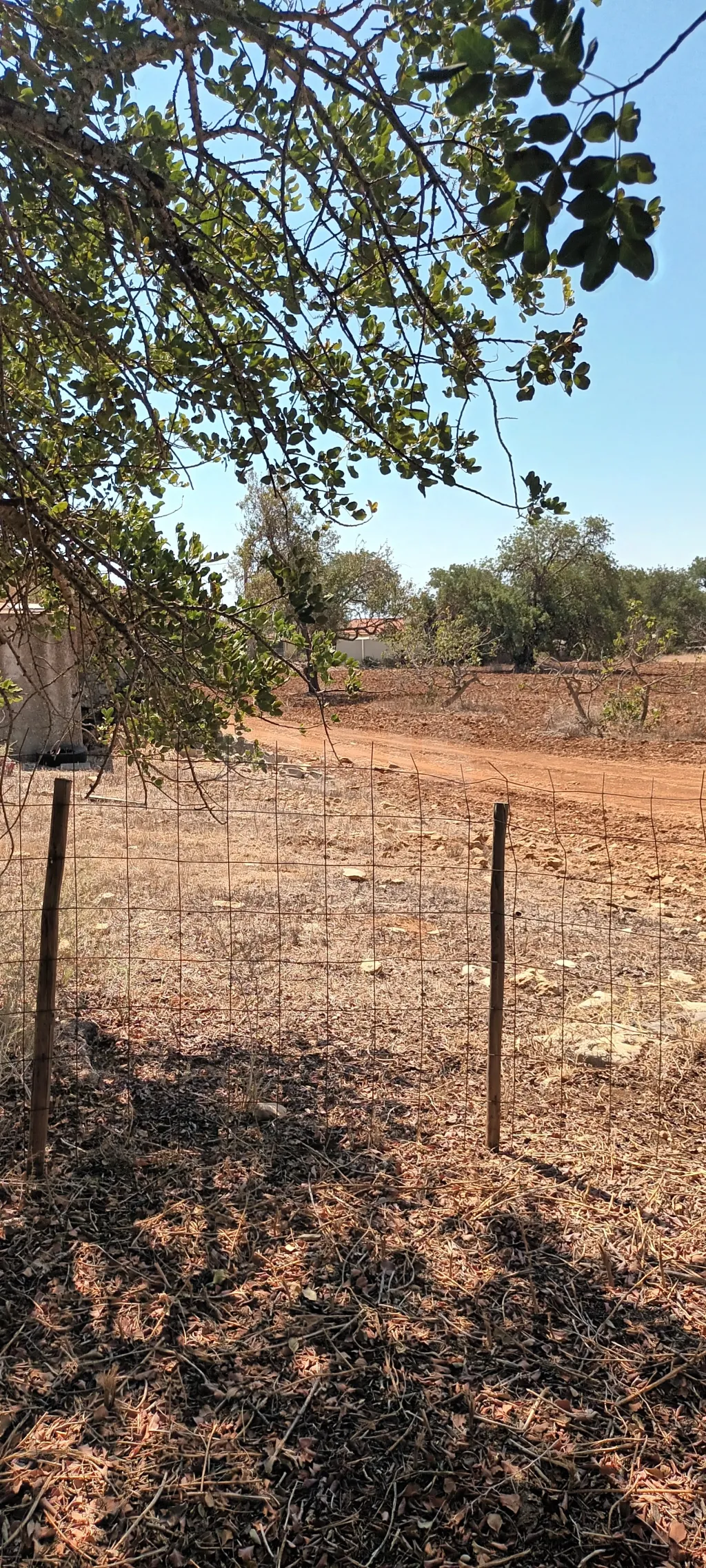 Terreno urbano com ruina / rustico
