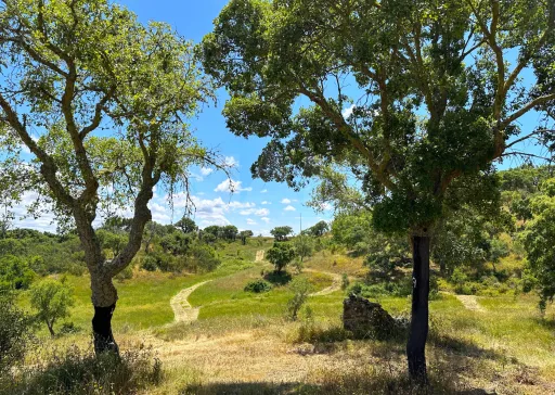 Herdade com 11,6 hectares em São Bartolomeu da Serra, Santiago do Cacém