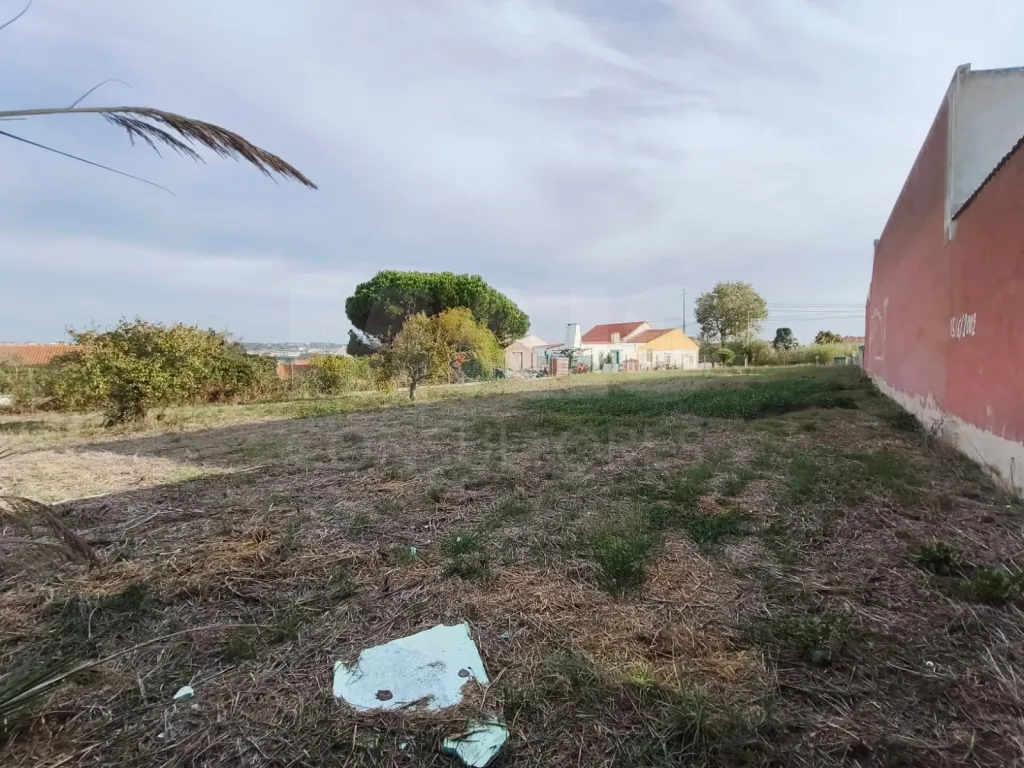 Excelente Oportunidade: Terreno Urbano para Construção no Campo (Caldas da Rainha)