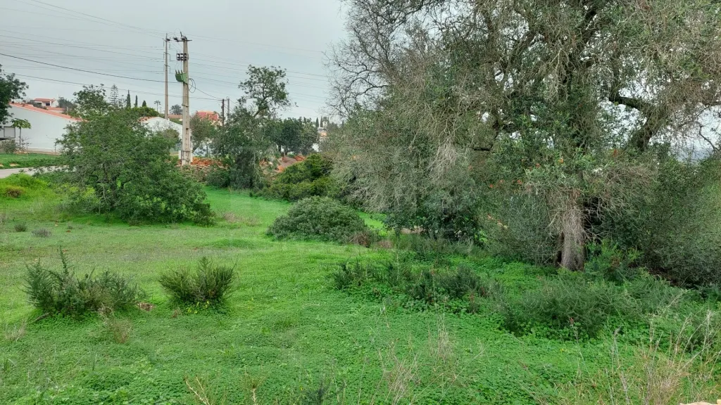 Lote de terreno Urbano