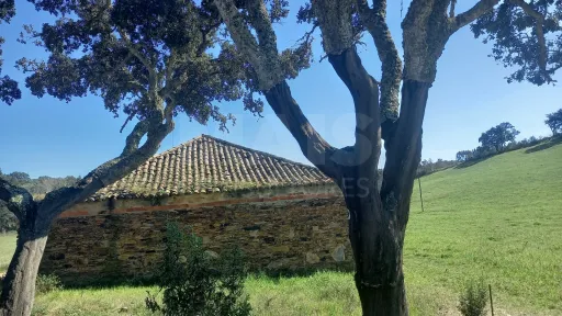 Herdade de 30 hectares em Cercal do Alentejo, Santiago do Cacém, Setúbal