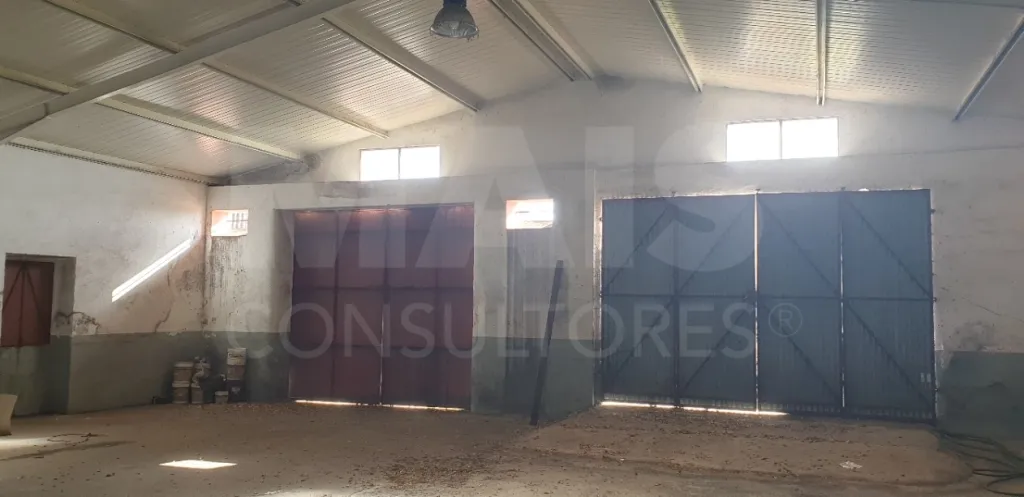 Moradia V 4 + Armazém + Casa Térrea de 45m2 em CASAIS ROMEIROS Santarém