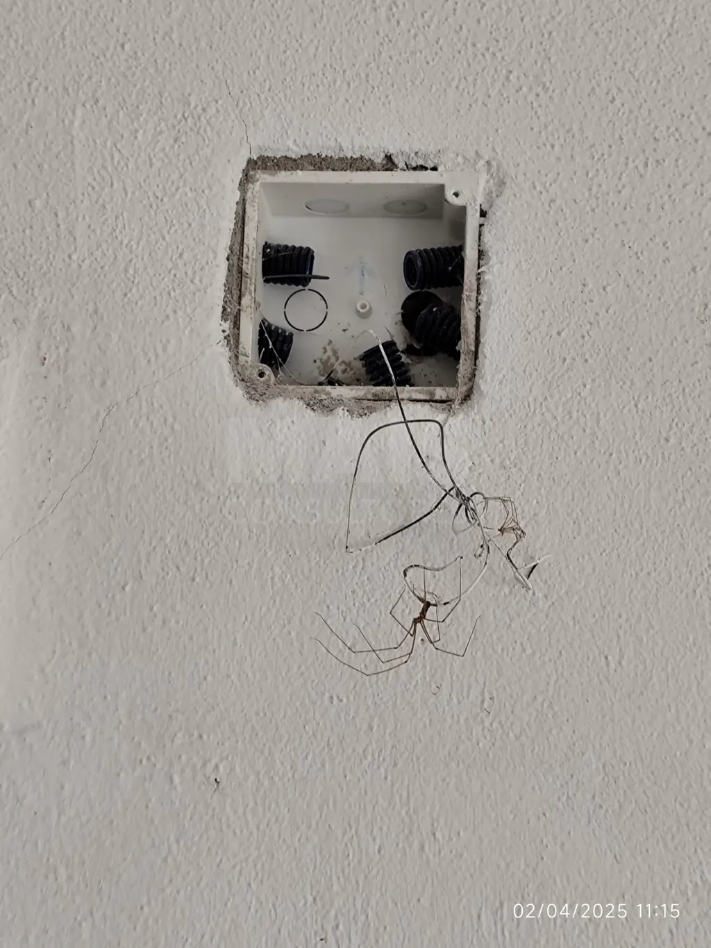 Moradia T1 Parcialmente Remodelada no casal das Andorinhas - Dois Portos