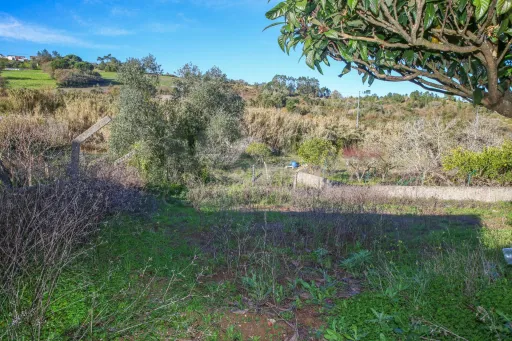 Quintinha com Moradia T2+1, em Sobral de Monte Agraço