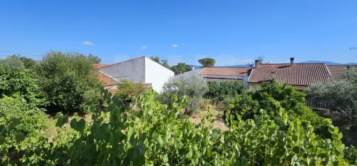 Moradia 2 Pisos centro Peroviseu c/ Terreno 500m2 e Garagem