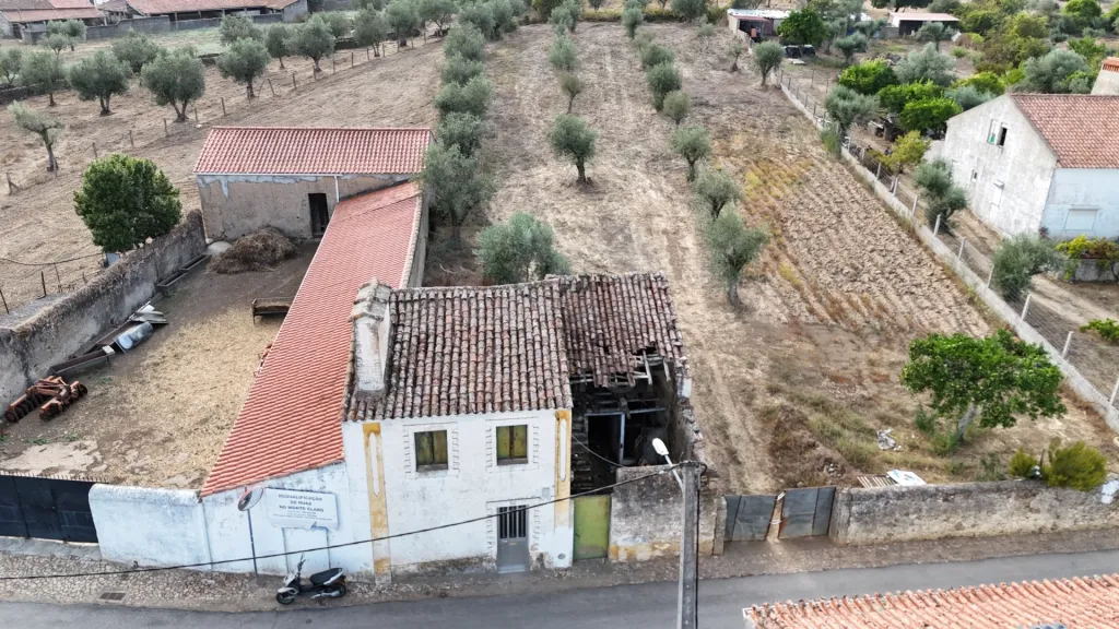 Terreno para construção com Moradia V2 em Nisa