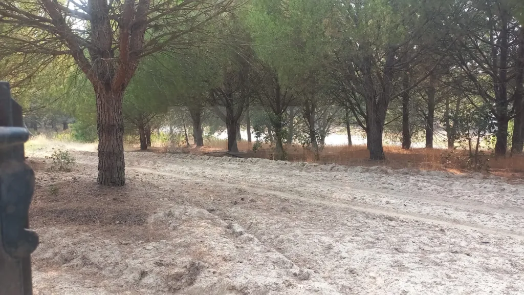 Terreno de 7.050 m² com pequeno armazém a Apenas 1 Hora de Lisboa