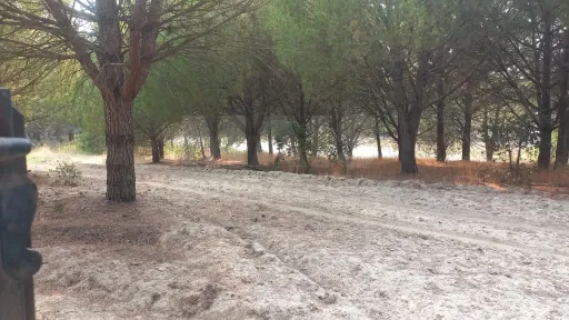 Terreno de 7.050 m² com pequeno armazém a Apenas 1 Hora de Lisboa