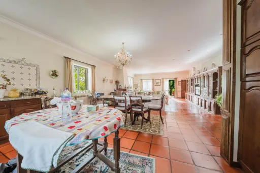 Propriedade única, a apenas 2 km de Alcobaça, com mais de 30.000 m² de terreno