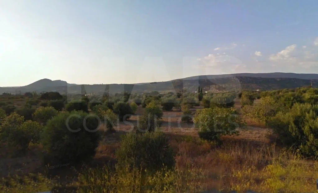 Terreno - Zibreira -Torres Novas