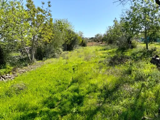 Lote de Terreno Rustico