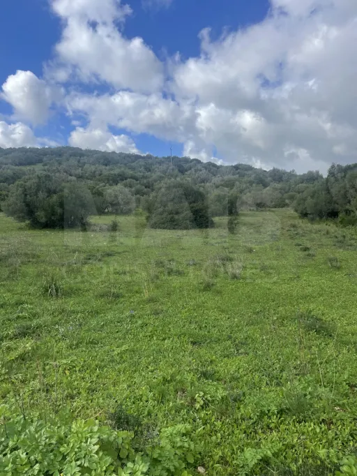 Monte Alentejano com 16Hectares e Casa de 180 m² para Recuperar