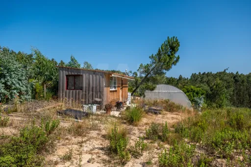 Terreno Agrícola na Fanadia | 16.100 m² de Potencial e Infraestruturas Preparadas
