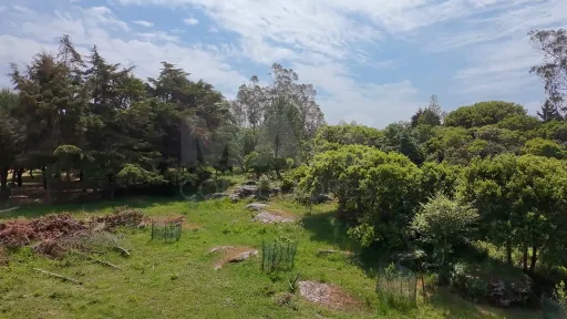 2 Terrenos Confinantes  