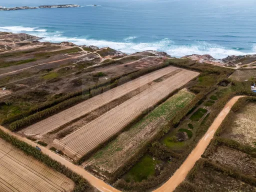 Rustic land with 5.600 m², located in Ferrel