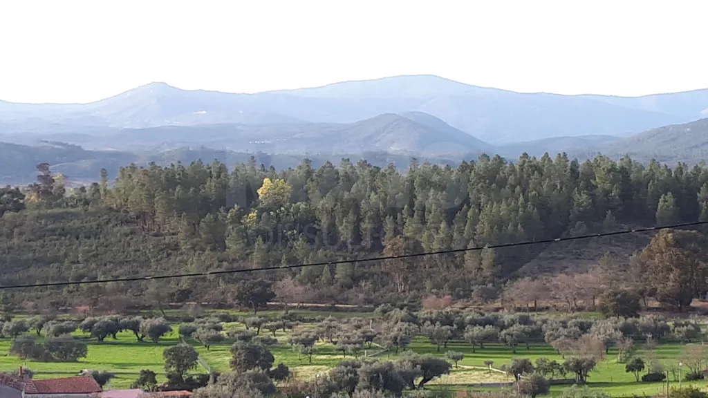 Moradia Típica com Vista Panorâmica, Salgueiro do Campo, Castelo Branco, Portugal