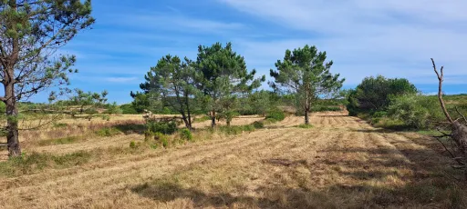 2 Plots of Land (Rural) in Serra dos Mangues, São Martinho do Porto