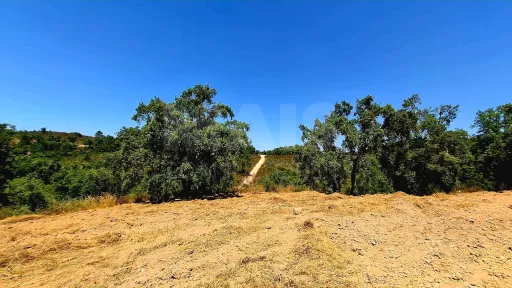 Herdade com 73,7 hectares em Relíquias, Odemira