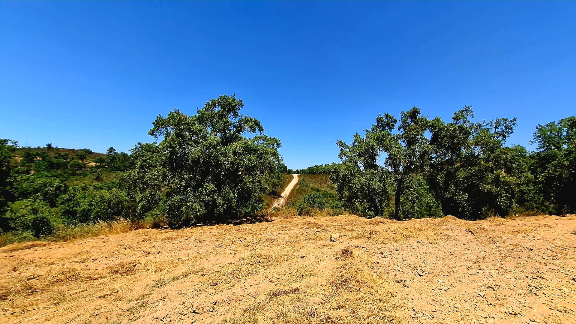 Farmland 73,7 ha - Relíquias, Odemira