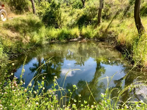 Herdade  com 40,85 hectares em São Bartolomeu da Serra, Santiago do Cacém