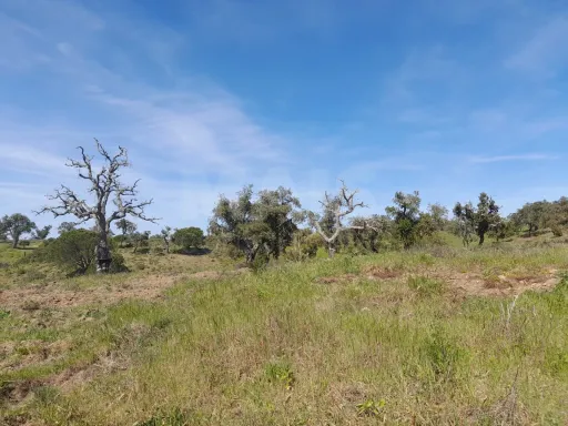 Terreno Urbano com 8.4 H em Melides