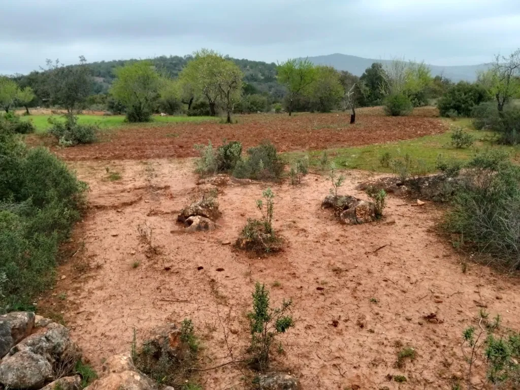 Lote de Terreno Rustico