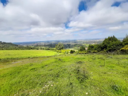 Terreno Único com PIP Aprovado na Serra de Montejunto – 22.000 m²