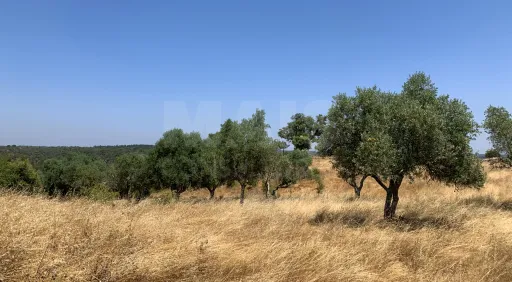 Herdade  com 40,85 hectares em São Bartolomeu da Serra, Santiago do Cacém