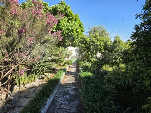 Moradia T3 com Jardim, Anexos e Enorme Potencial – Moitas Vendas