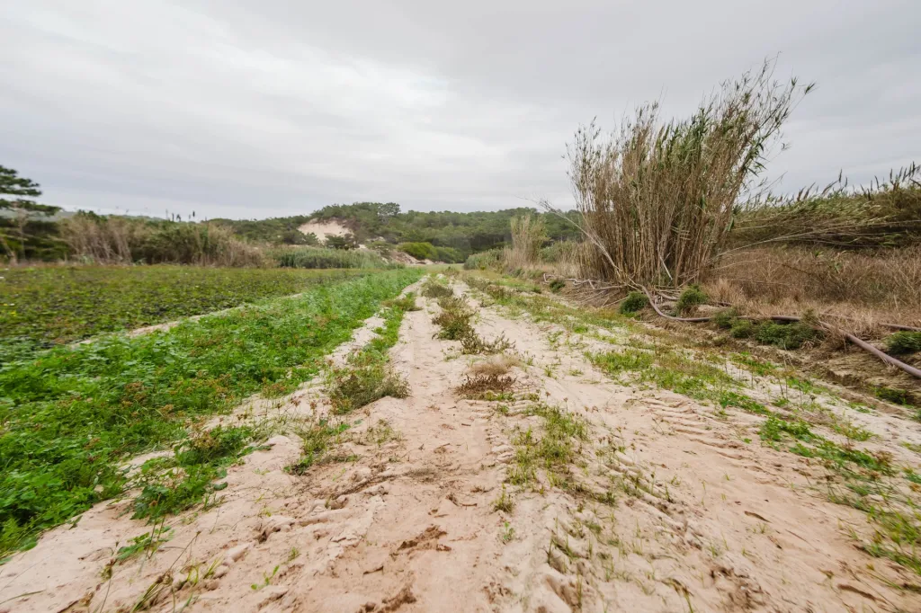 Terreno Rústico com 3.800 m² em Ferrel