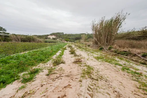 Terreno Rústico com 3.800 m² em Ferrel