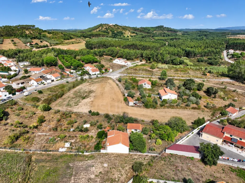 Terrano de 7.024 m2 com Potencial de Loteamento | Alcoentre