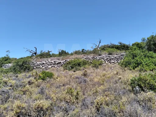 Terreno Rústico com vista mar em Santa Bárbara de Nexe