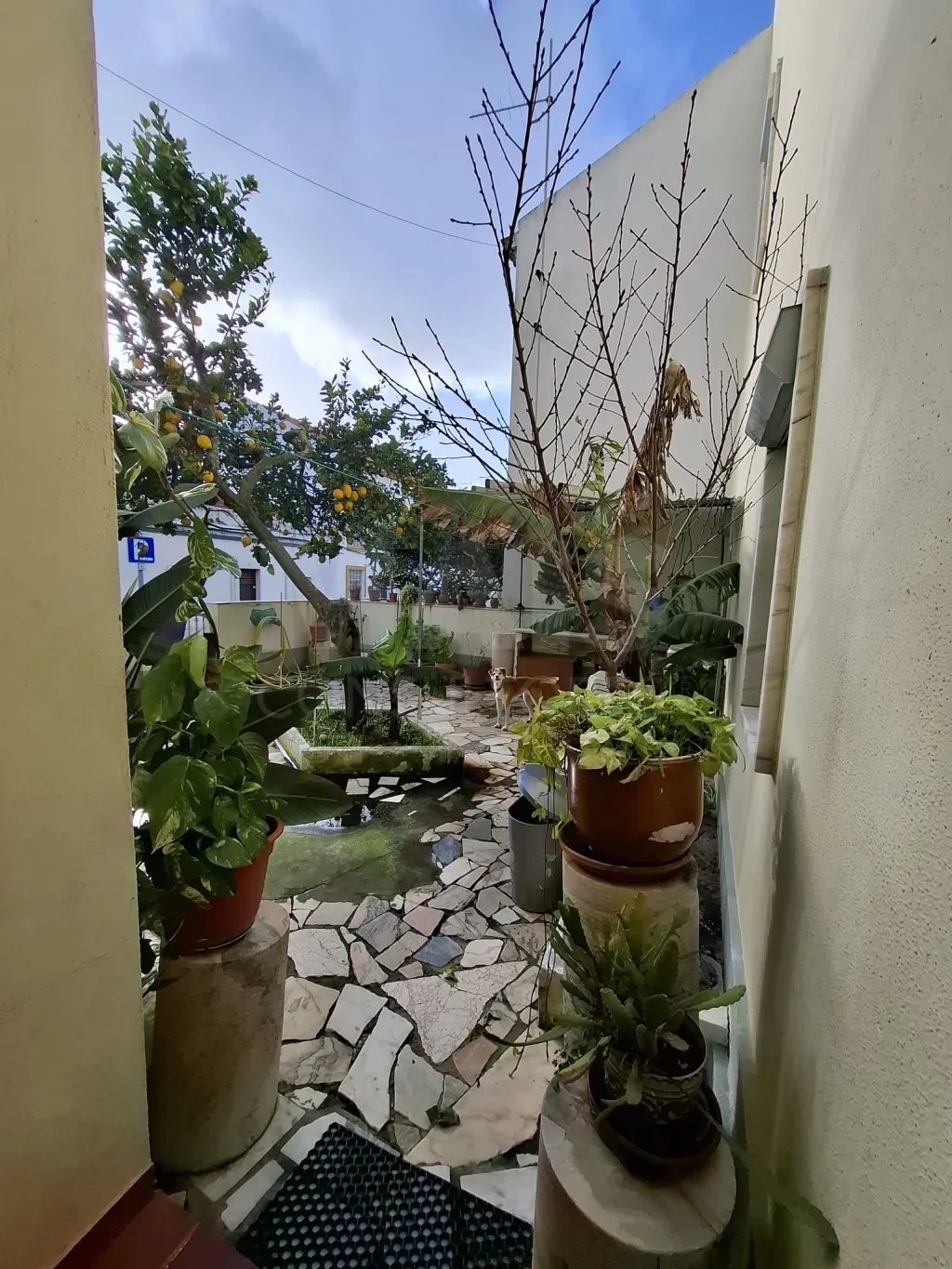 Moradia T2 com Jardim em Sines