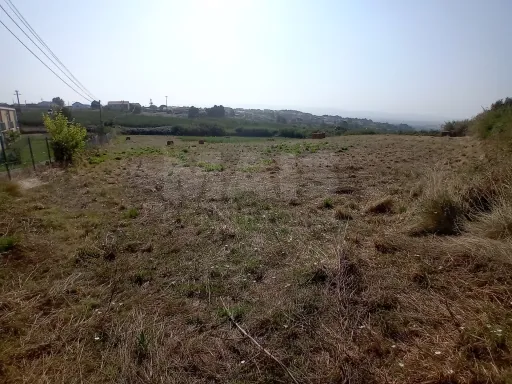 Terreno urbanizável 8.000 m² Alcobaça e Vestiaria, Alcobaça