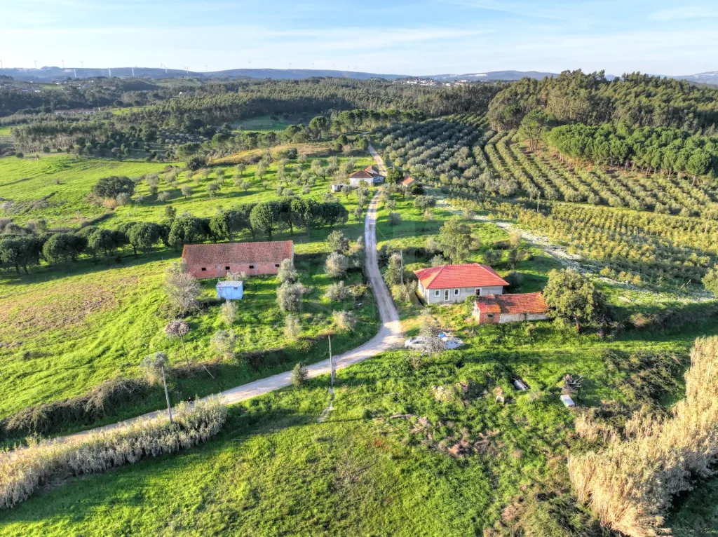 Moradia T2+1 c/ Anexo & Armazém em Lote de 7.600m2