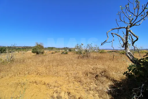Terreno rústico em Algoz