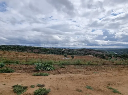 QUINTA, em  Casas Novas  - MOURISCAS -ABRANTES