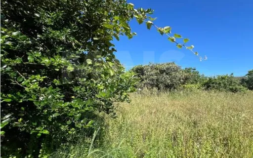 Terreno rústico próximo da praia de Vila Praia de Âncora