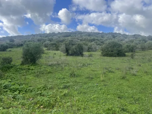 Monte Alentejano com 16Hectares e Casa de 180 m² para Recuperar