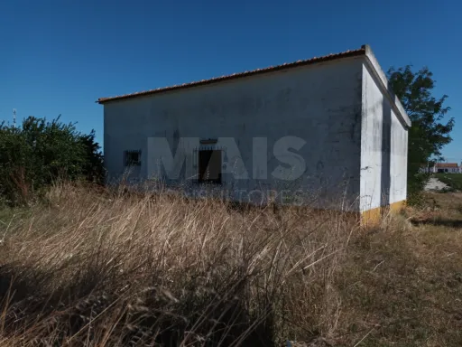Moradia V1para remodelar com terreno para construção e agrícola.