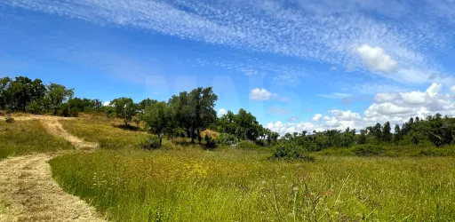 Herdade com 11,6 hectares em São Bartolomeu da Serra, Santiago do Cacém