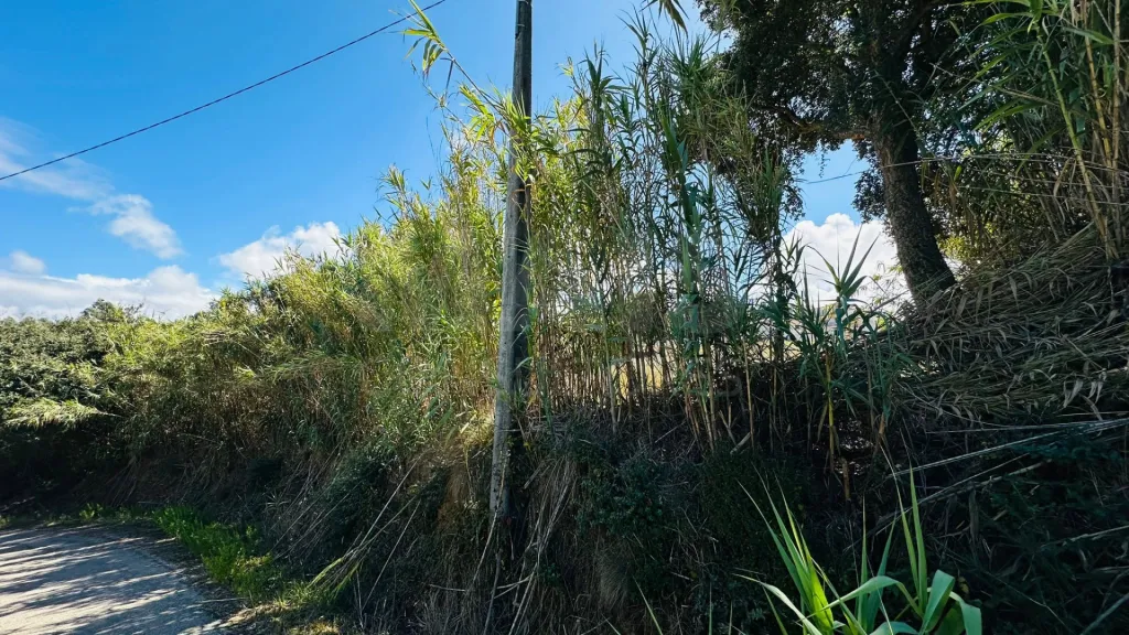 Terreno com 6.042 m² | Potencial de Construção | Santa Bárbara, Lourinhã