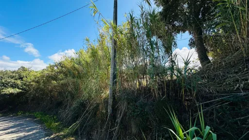 6,042 m² Lot | Building Potential | Santa Bárbara, Lourinhã