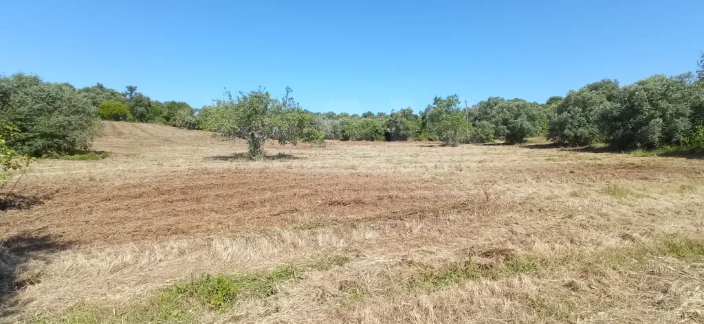 Terreno Misto com Ruina em TORRES NOVAS