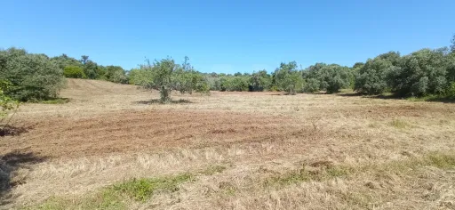 Terreno Misto com Ruina em TORRES NOVAS