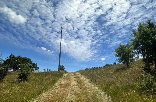Herdade com 11,6 hectares em São Bartolomeu da Serra, Santiago do Cacém