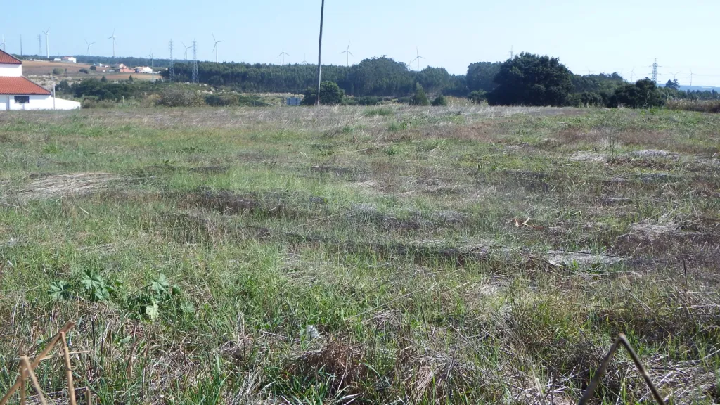 Quinta com Adega | 37.500 m² | Atouguia da Baleia, Peniche