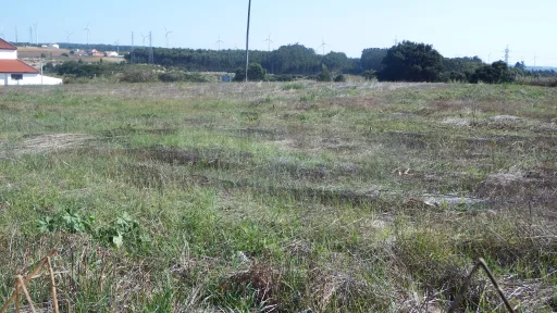 Quinta com Adega | 37.500 m² | Atouguia da Baleia, Peniche