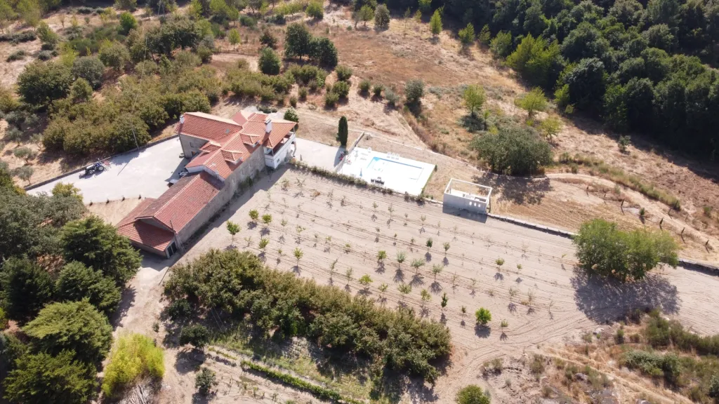 Herdade / Quinta com 25–27 ha, vinha em produção, olival e piscina – Serra da Estrela, Gouveia